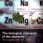The biological chemistry of the elements